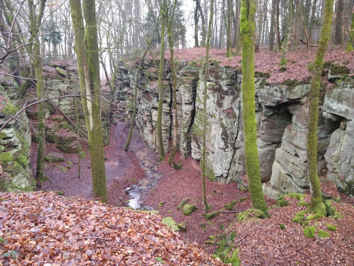 Ferienhaus Fraeulein Frenz Bollendorf Exterior foto